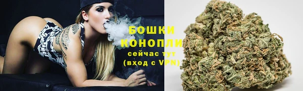 трава Абаза