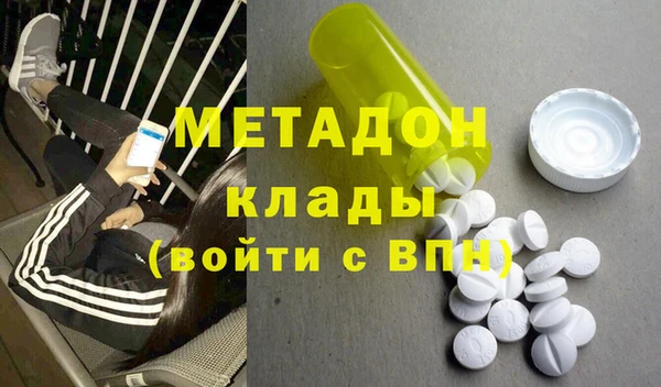 прущие грибы Протвино