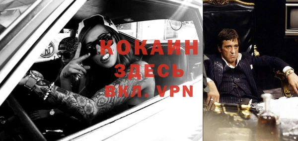 трава Абаза