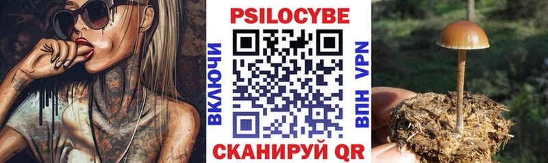 Галлюциногенные грибы Psilocybe  Касимов 
